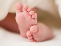 сша зачатие донор эмбрион