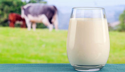 молоко, купити, онлайн