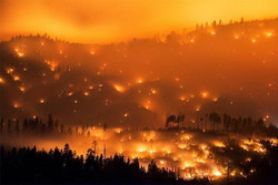трамп калифорния лесной пожар
