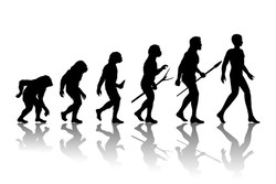 эволюция мужчина