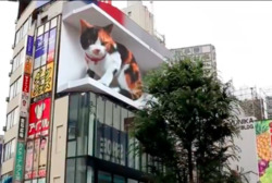 токіо будівля 3D-кіт