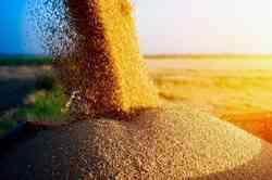 Україна експорт зерно